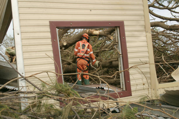 Best Seasonal Cleanup (Spring/Fall)  in Southern View, IL